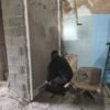 12 Tarracado de paredes - Imagen 3